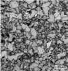 Optical-micrograph-showing-the-multiphase-microstructure-PF-polygonal-ferrite-AF.png