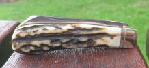 AC Lambsfoot 6-9.JPG