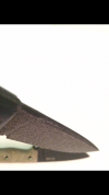 05358425-DA5C-4FBB-8328-389618B1736B.png