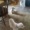 FB_IMG_1537097360154.jpg