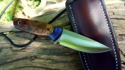 Rabbits Foot Blackberry right.jpg