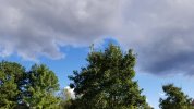 20180917_170901.jpg