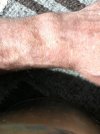 IMG_5526.jpg