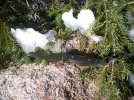 100_2535.jpg