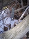 100_2543.jpg