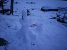 100_2559.jpg