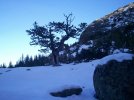 100_2555.jpg