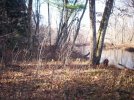 100_0984.jpg