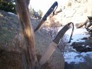 100_2598.jpg