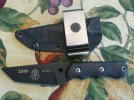 StriderDB-Lpics003-1.jpg