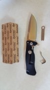 lionsteel 2.jpg