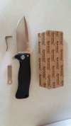 lionsteel 3.jpg