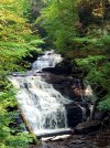 20180906_175132.jpg