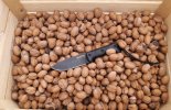 BK2-Walnut.jpg