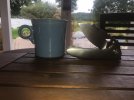 Knife and coffee.jpg