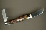 Utica rooster comb (2).jpg
