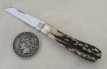 AC Lambsfoot 9-9.JPG