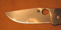 Spyderco Slysz Bowie.jpg