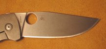Spyderco Slysz Bowie2.jpg