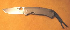 Spyderco Slysz Bowie3.jpg