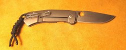 Spyderco Slysz Bowie4.jpg