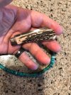 Ashleys Choice EDC 1.jpg