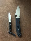 pm2.jpg