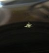 Edward's Black snowflake.jpg
