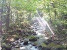 n1324746659_1368065_1436.jpg