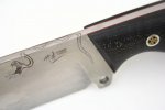 10582-2.jpg