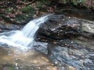 DSC01678.jpg