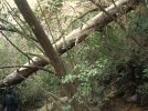 DSC01674.jpg