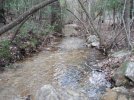 DSC01693.jpg