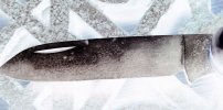 CATTSCOUT-1F.JPG