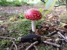 IMG_20181006_163005.jpg