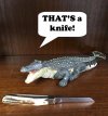 Saltie.jpg