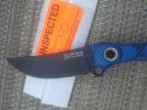 Busse 4.jpg