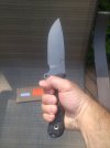 Busse 6.jpg
