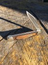 Buck_379_02.jpg