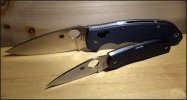 Manix2XLChaparral_C_101418.jpg