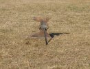 pasture party 032.JPG