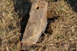 pasture party 057.JPG