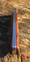 CSC_cocobolo_05.jpg