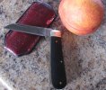 BJ.nectarine.slip.jpg