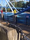 15F00FD9-51A9-409C-A21E-BEAE76025DC9.jpeg
