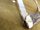 Wostenholm stag flat blade (12).JPG