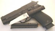 p220d2.jpg
