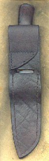 sheath jones p2.jpg