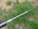 arrow spine.jpg
