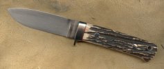 jones bros. stag dp.jpg